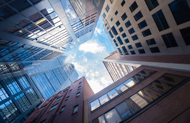 Ontario Superior Court of Justice (Divisional Court) – Whittaker v. Elsbury