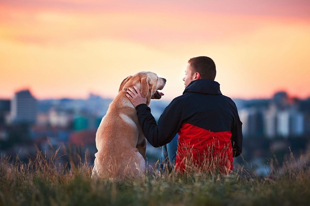 Having a Dog in My Ontario Condo Got Me Evicted! Is This Legal?