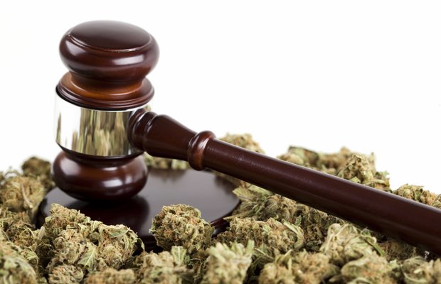 What Landlords Need to Know about the New Marijuana Laws